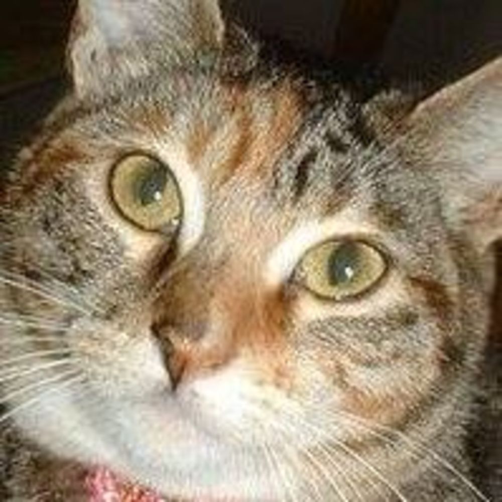 Meet your Posher, Suko